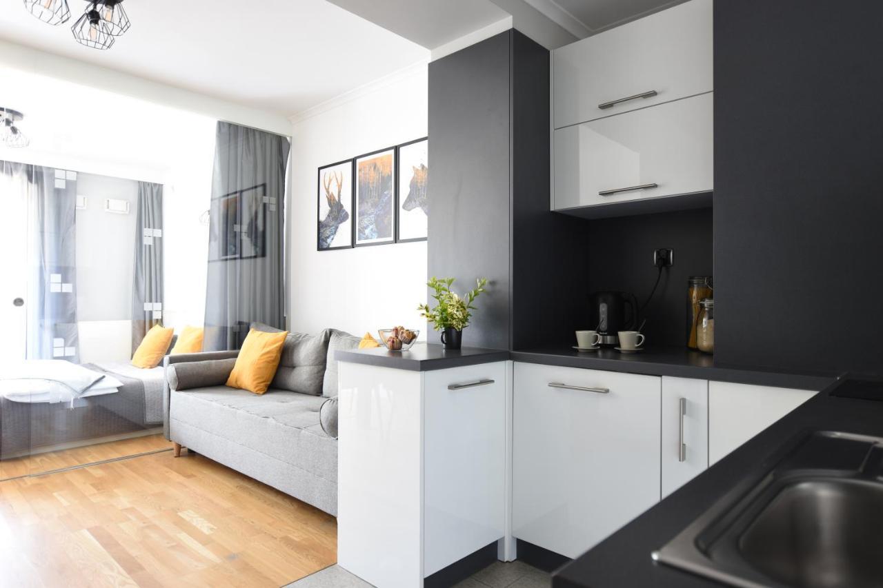 Apartament Przemily - Studio Teczowe Wzgorze Wisla Bagian luar foto